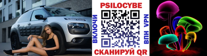 Купить закладки  Нариманов  Псилоцибиновые грибы Magic Shrooms 